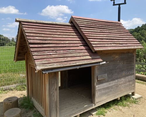 A78F45DA-D230-4EF4-A488-6EF53D1E9560